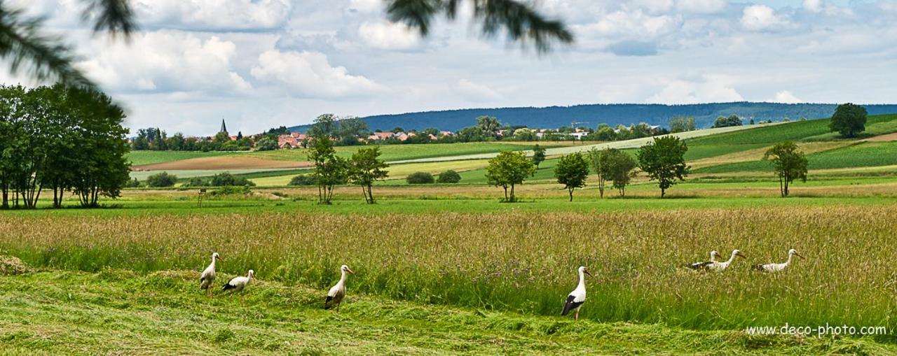 Gite L'Amarante Betschdorf Luaran gambar