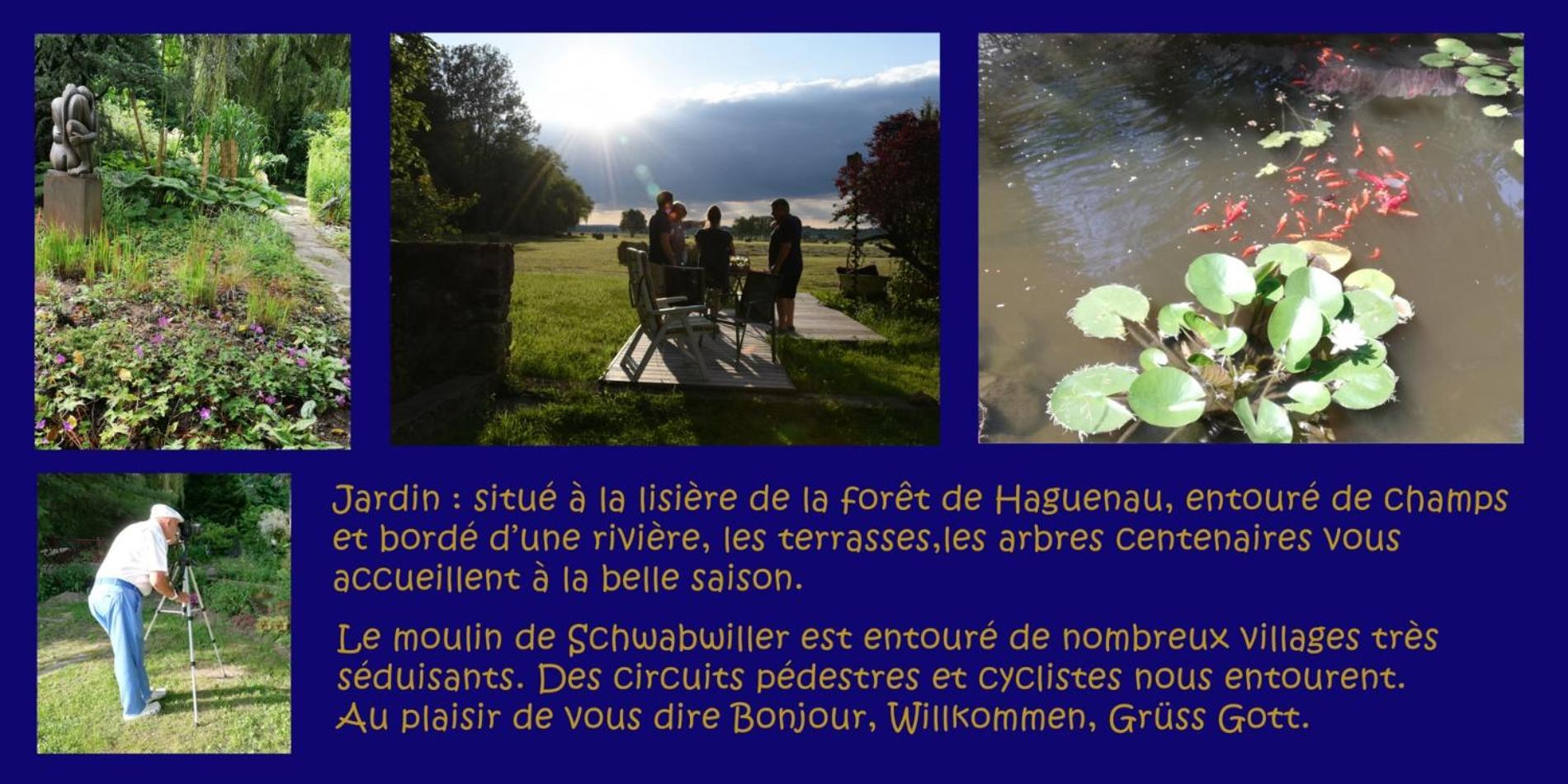 Gite L'Amarante Betschdorf Luaran gambar